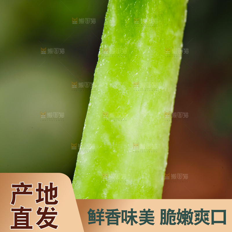 手里拿着萝卜