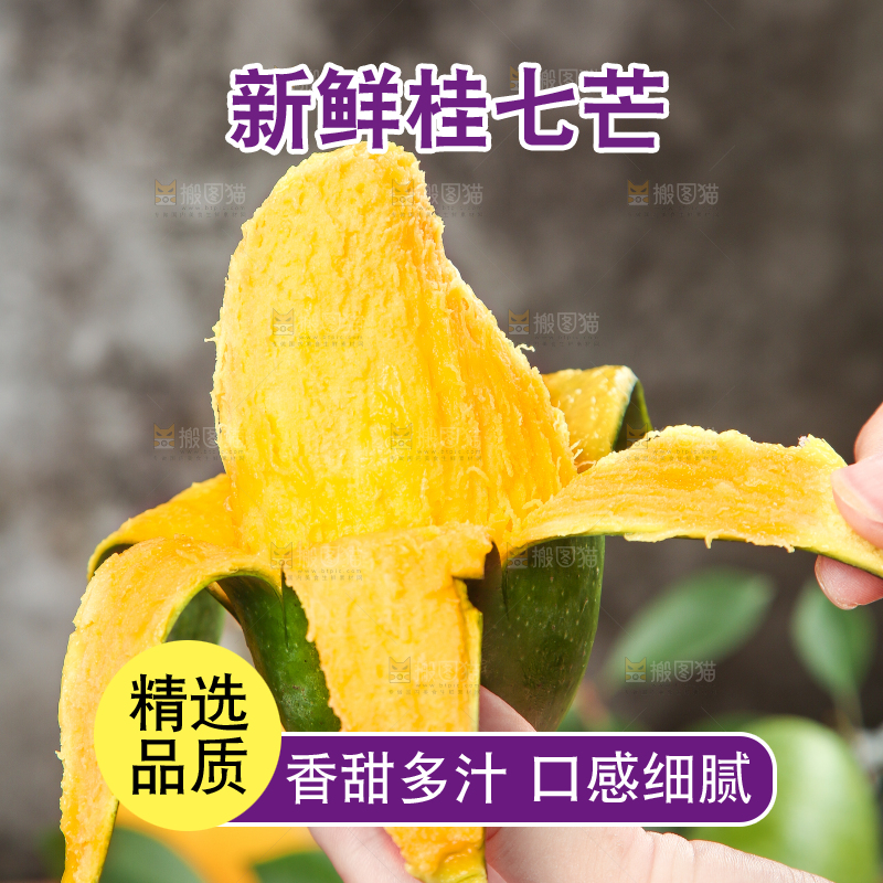 手拿剥皮的田东桂七芒