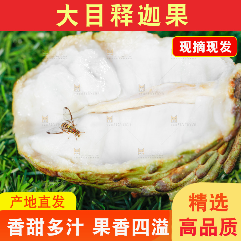绿地上放着释迦果