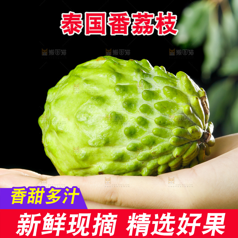 手里拿着释迦果