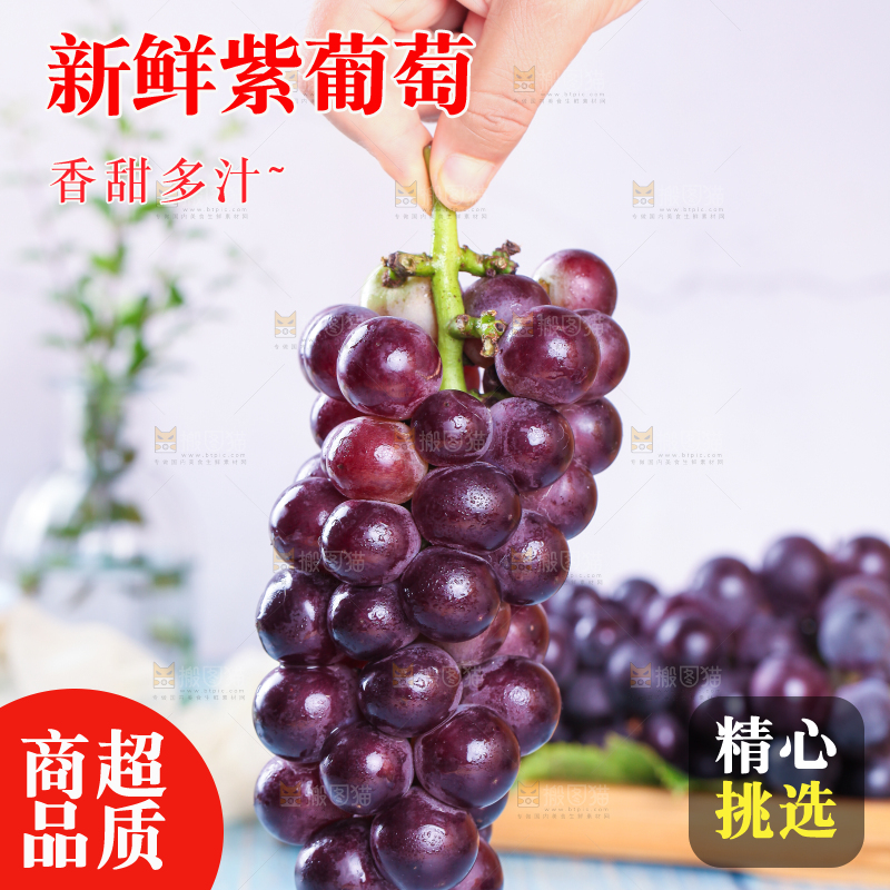 手拿东北巨峰葡萄