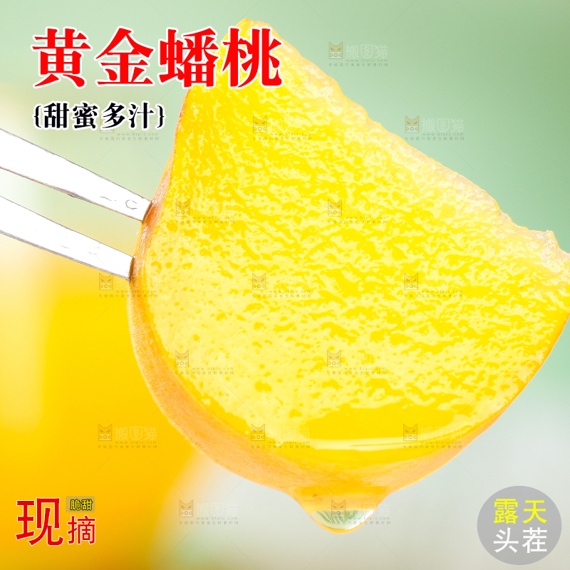 叉子叉着一块黄蟠桃