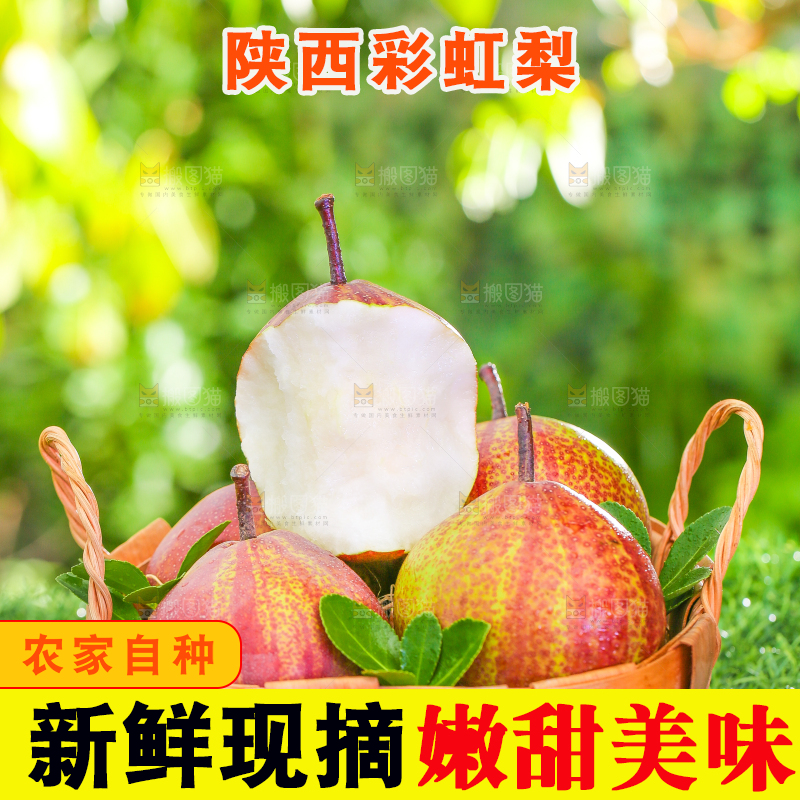 草地上放着一筐早酥红梨子