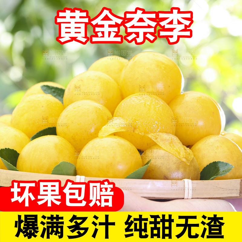 手拿一盘九峰山黄金奈李