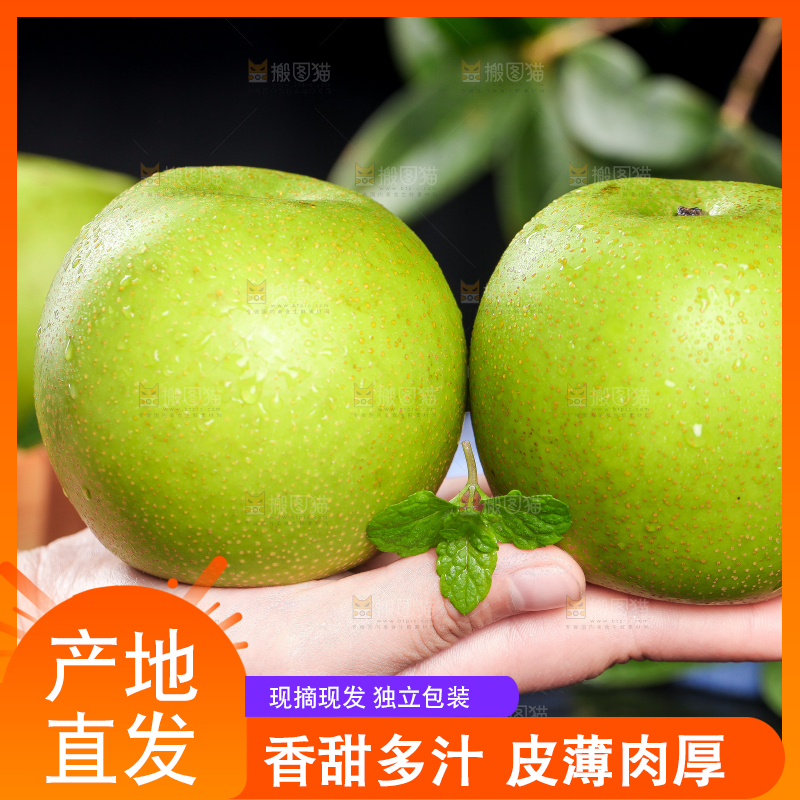 手拿砀山青皮翠冠梨