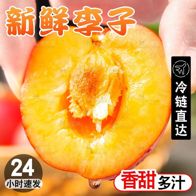 手拿掰开的珍珠李
