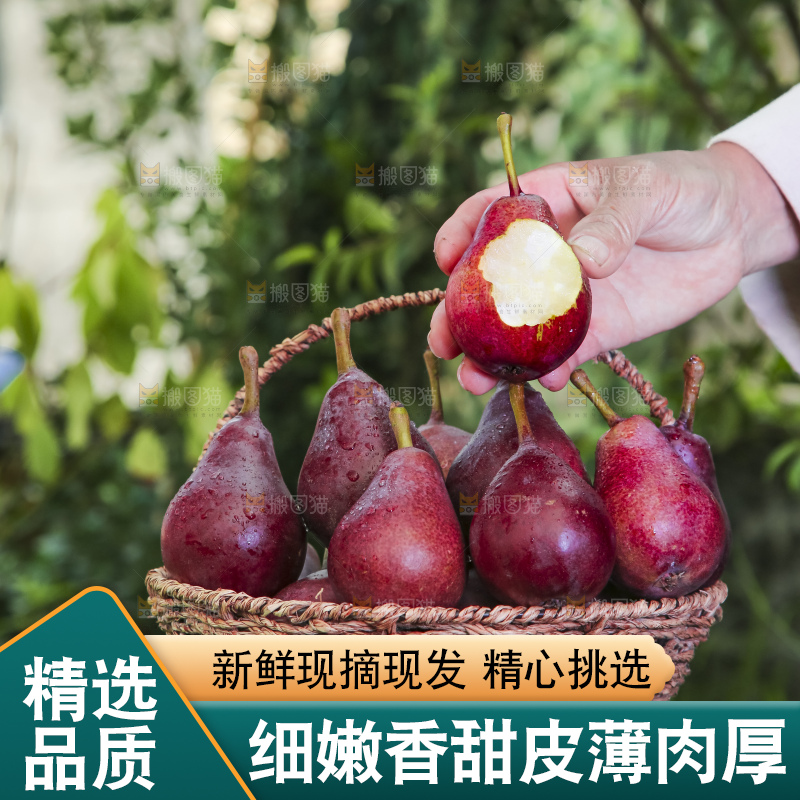 手拿红啤梨
