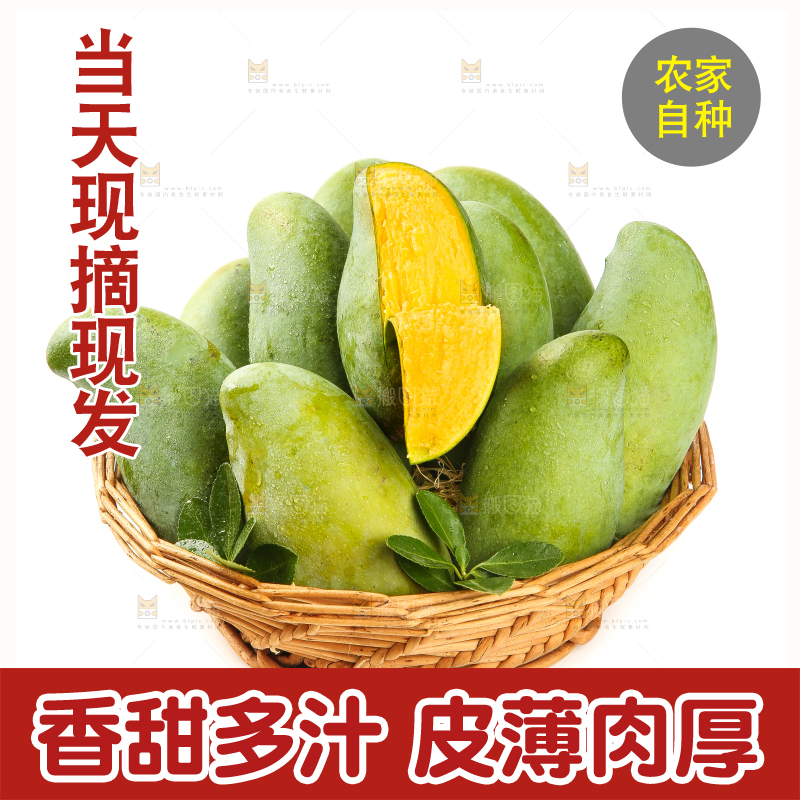 白底上放着一筐桂七芒