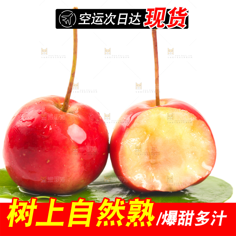 叶子上的海棠果