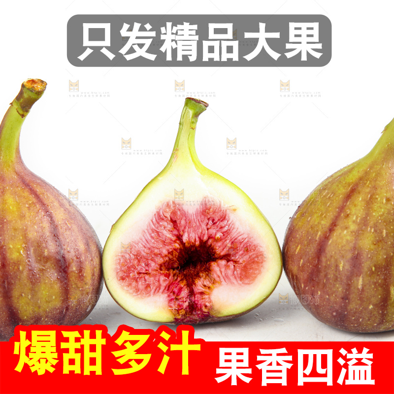 白底上的紫皮无花果