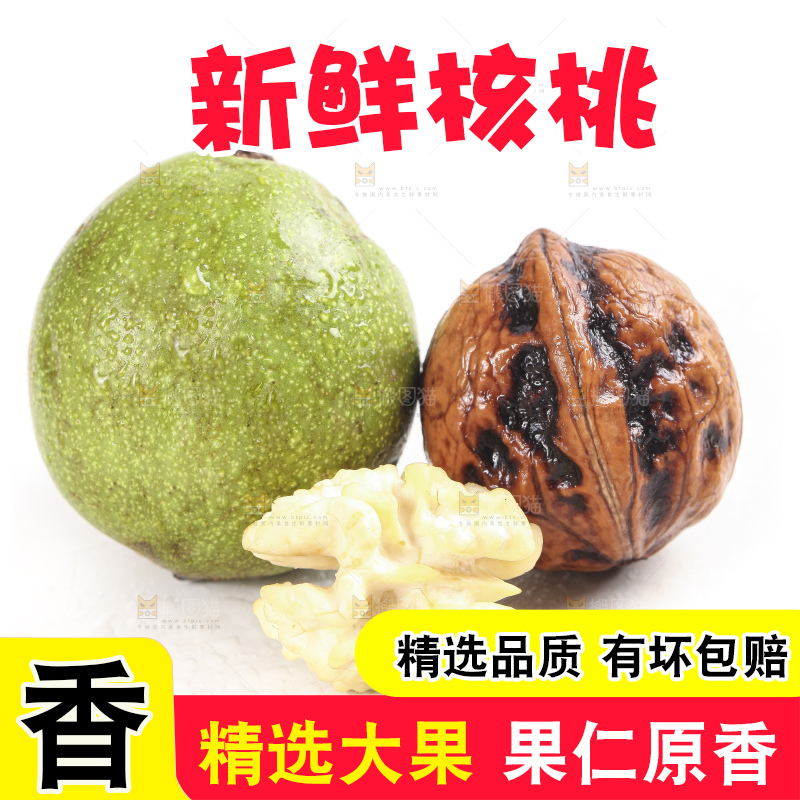 白底上的新鲜湿核桃