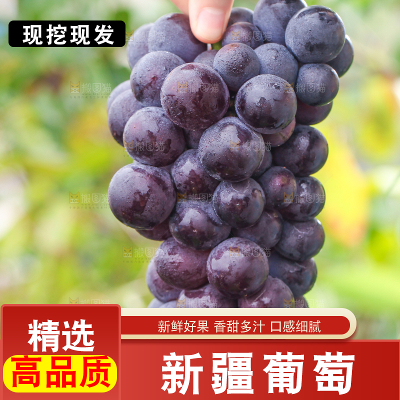 手拿一串新鲜葡萄