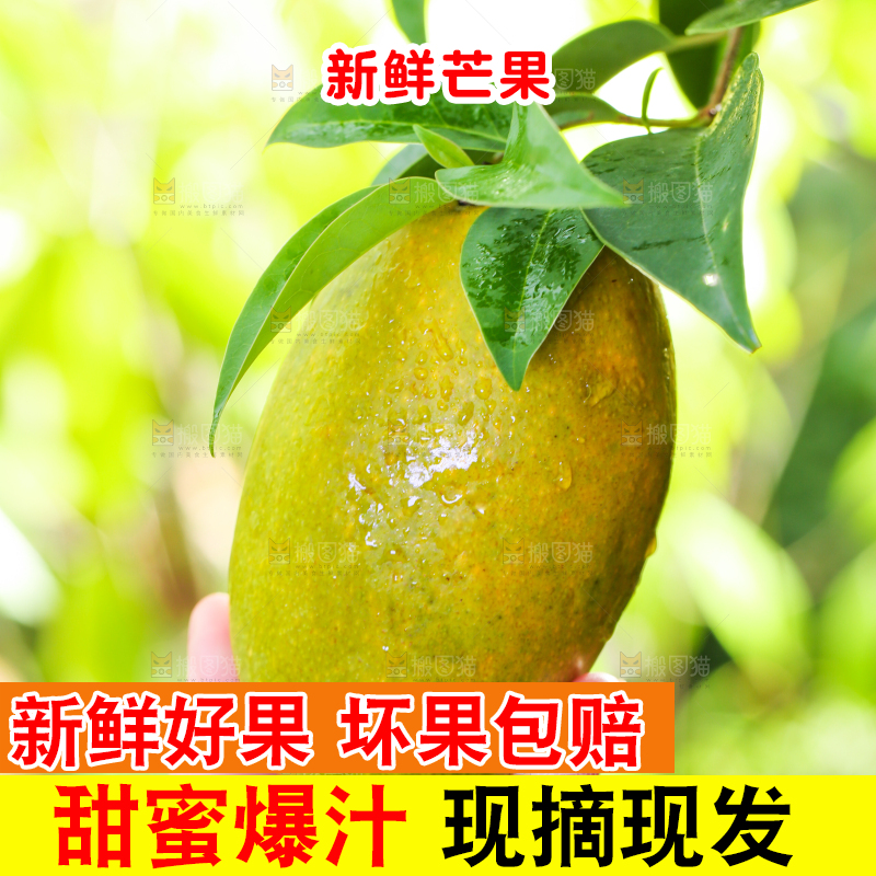 手拿切开的椰香芒果