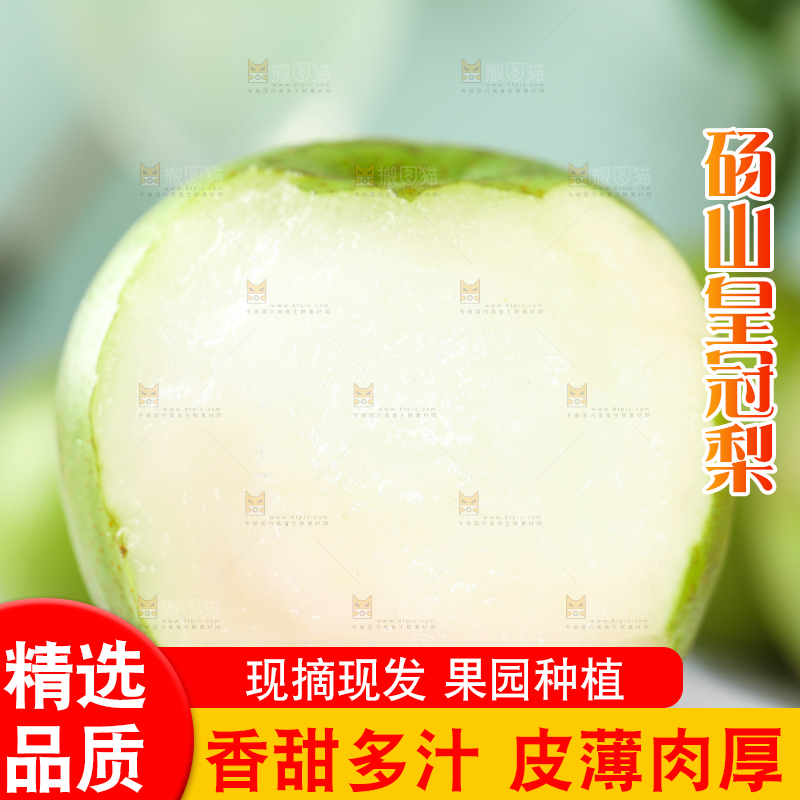 手拿削皮的砀山青梨