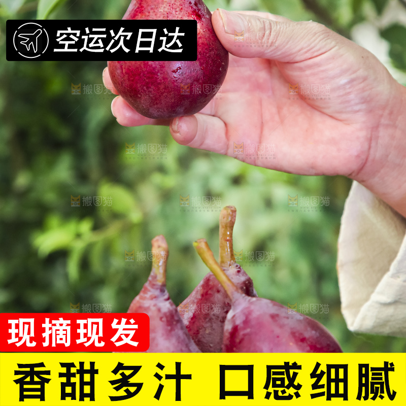 手拿红啤梨