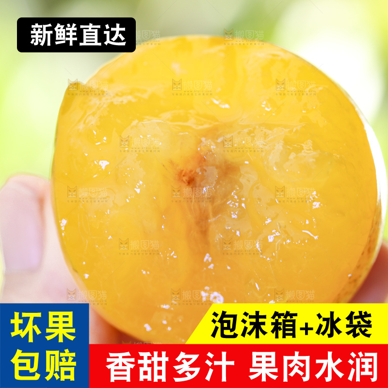 手拿掰开的黄金奈李
