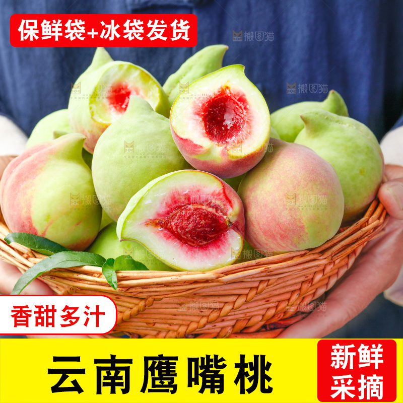 手拿云南鹰嘴黑美人桃子