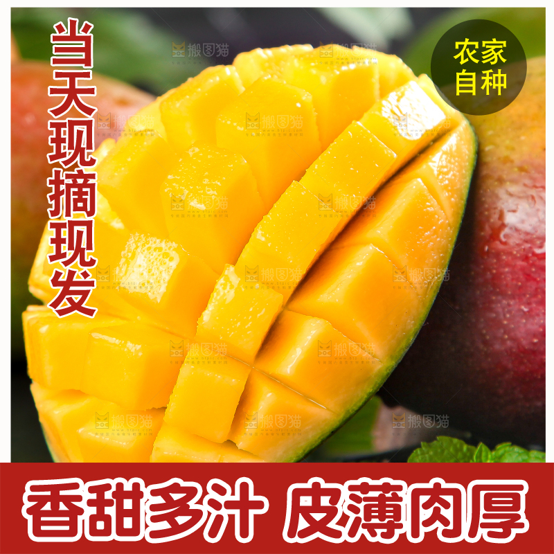 凯特芒主图