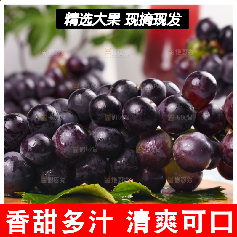 木底上的巨峰葡萄