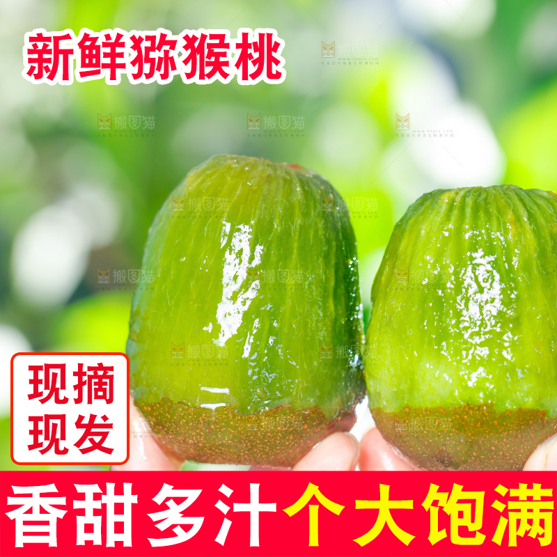 手拿剥皮的红心猕猴桃