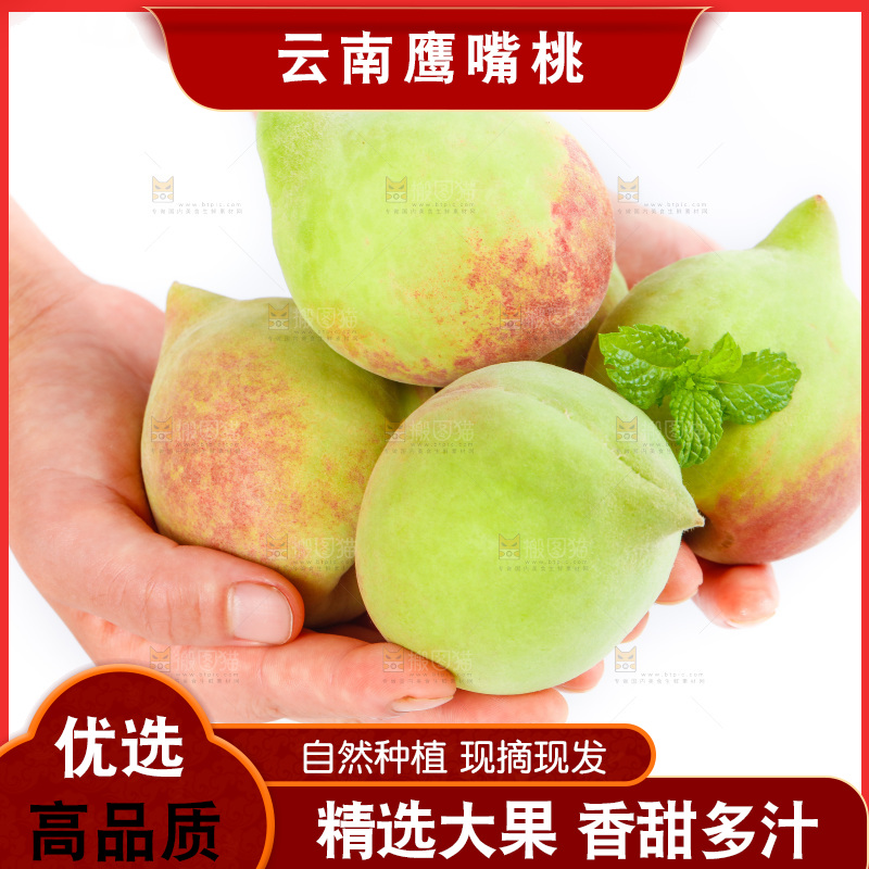 手拿着的鹰嘴桃