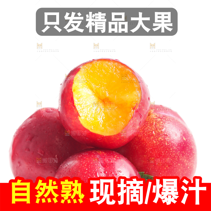 白底上的珍珠李
