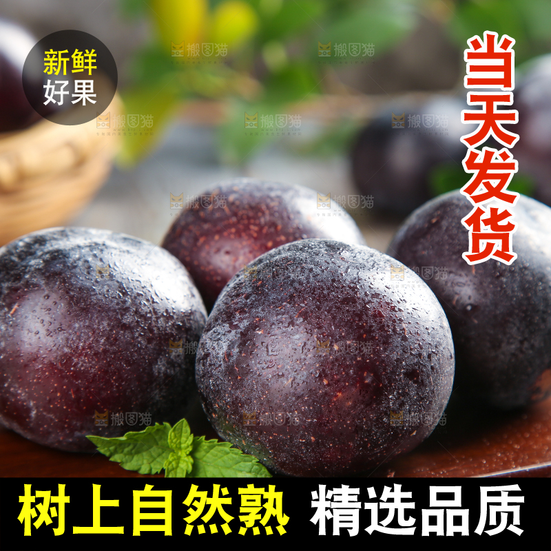 木底上放着智利黑布林
