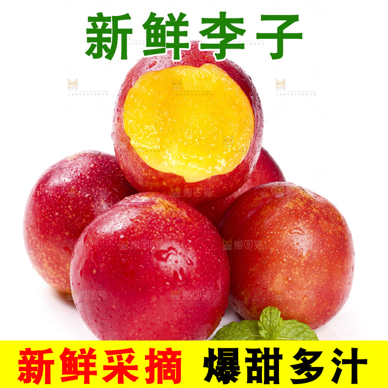 白底上的智利珍珠李