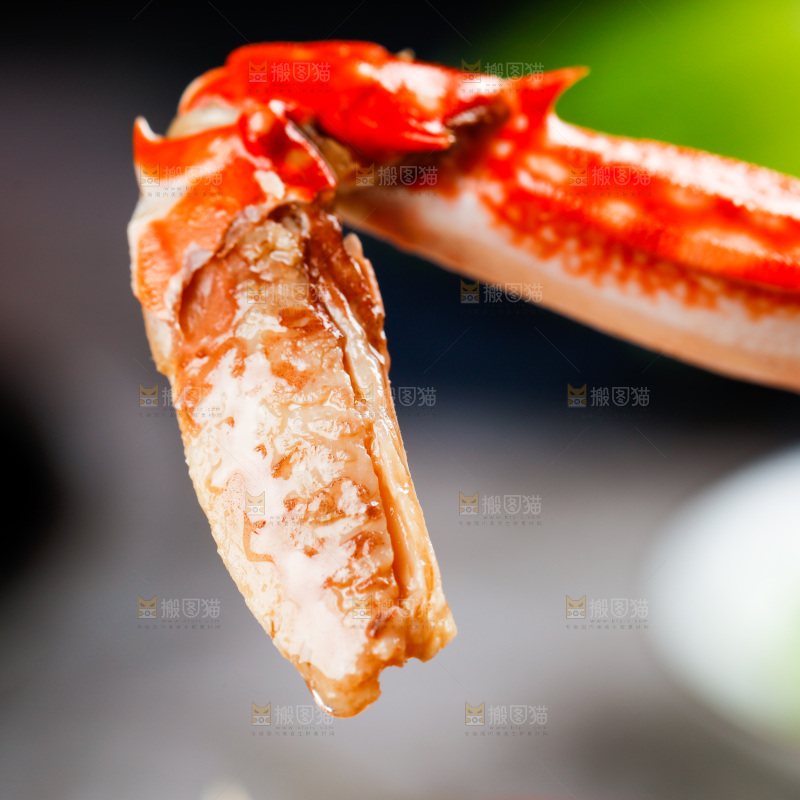 深底上的梭子蟹钳