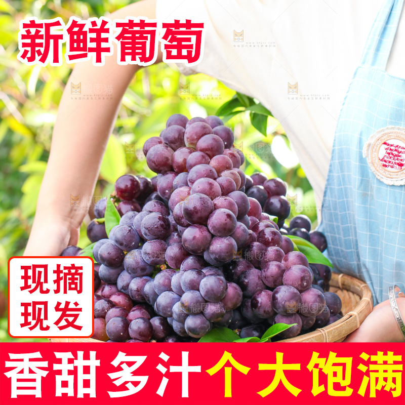 手拿一盘巨峰葡萄