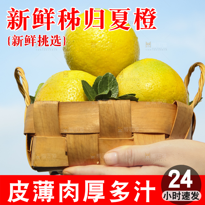 手拿一筐秭归夏橙