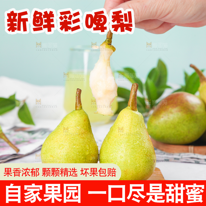 手拿太婆梨果核