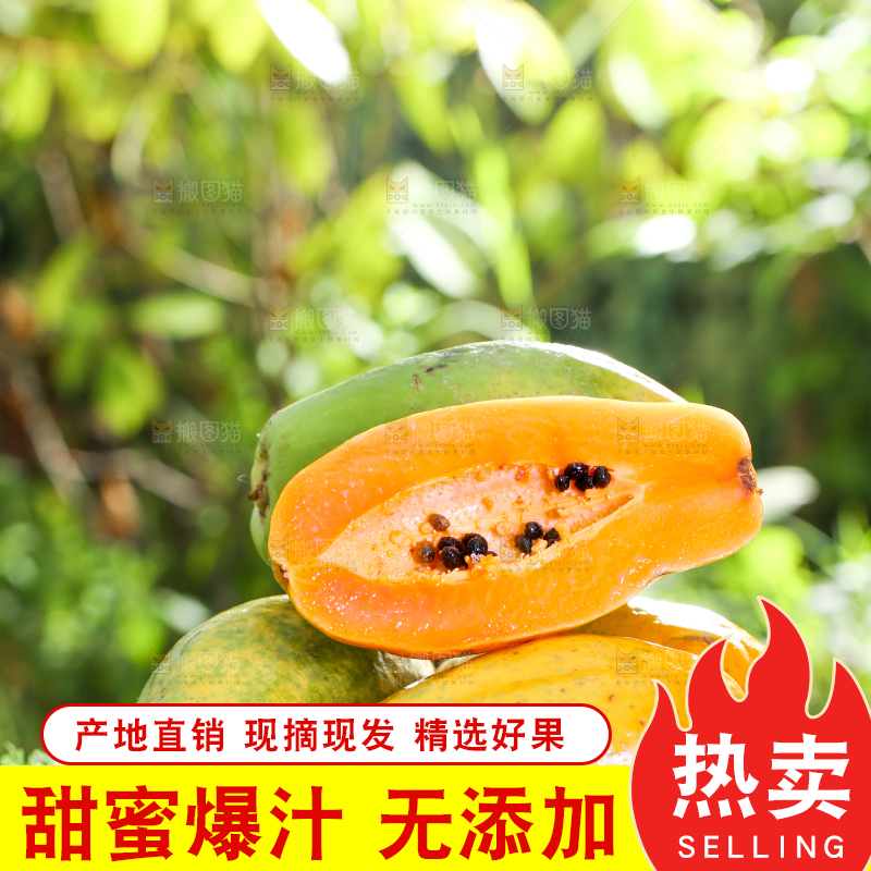 草地上放着一盘切开的木瓜