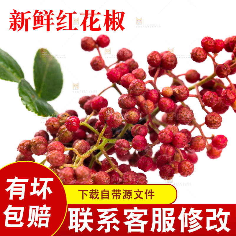 手拿新鲜花椒