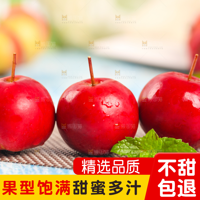 浅底上的东北海棠果