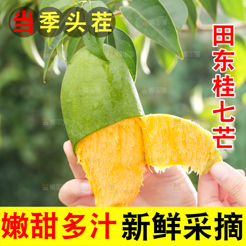 手拿剥皮的桂七芒