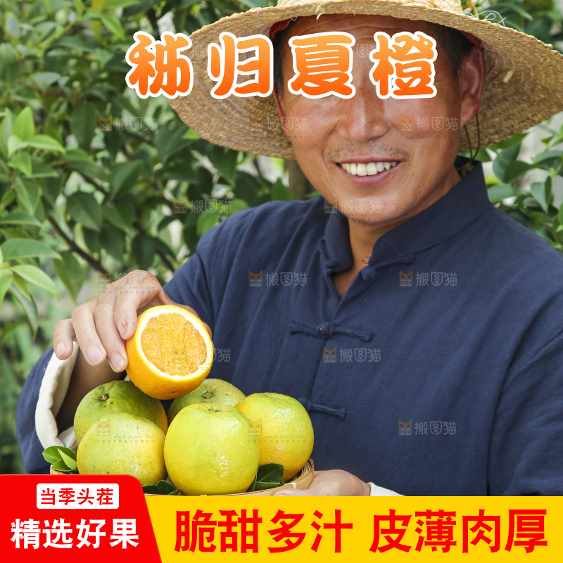 农民手拿一盘夏橙
