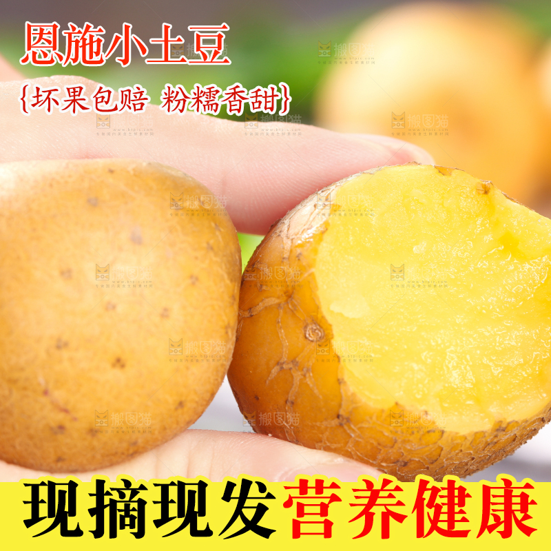 手拿黄心熟土豆