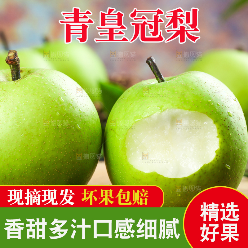 木底上的砀山翠冠梨