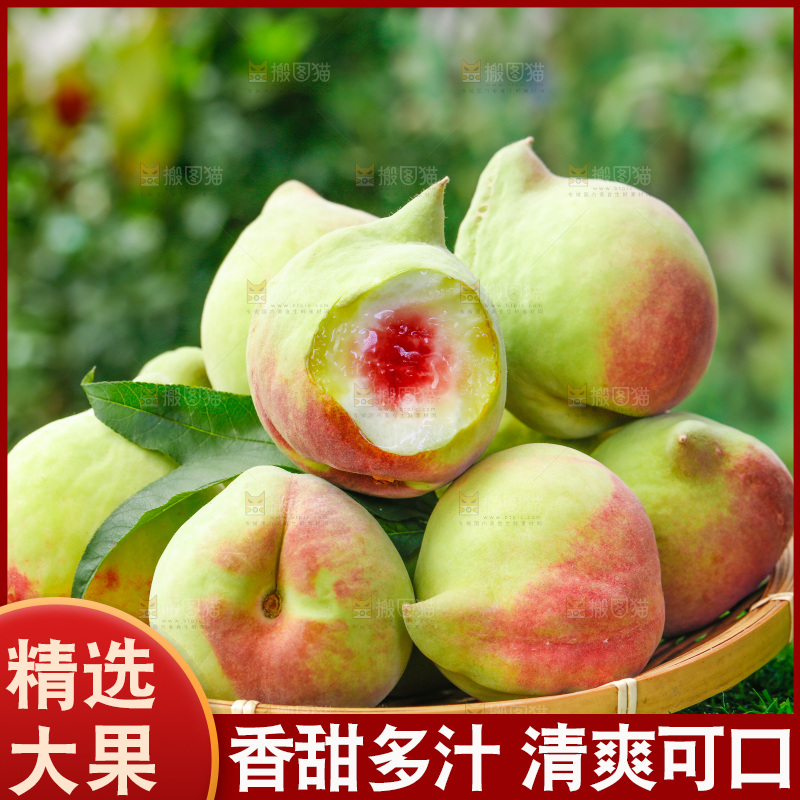 草地上的鹰嘴桃