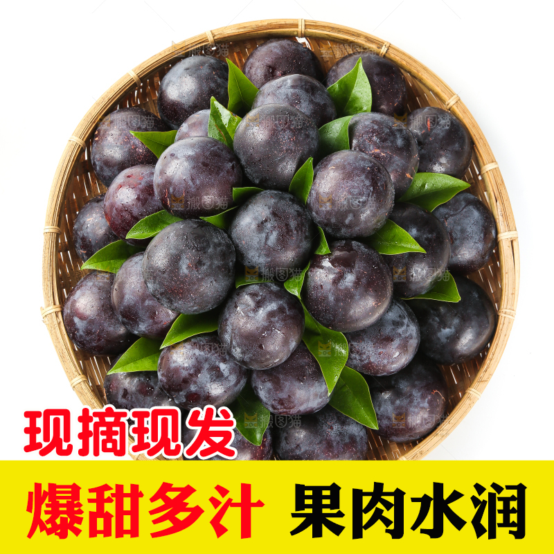 白底上放着一盘黑布林