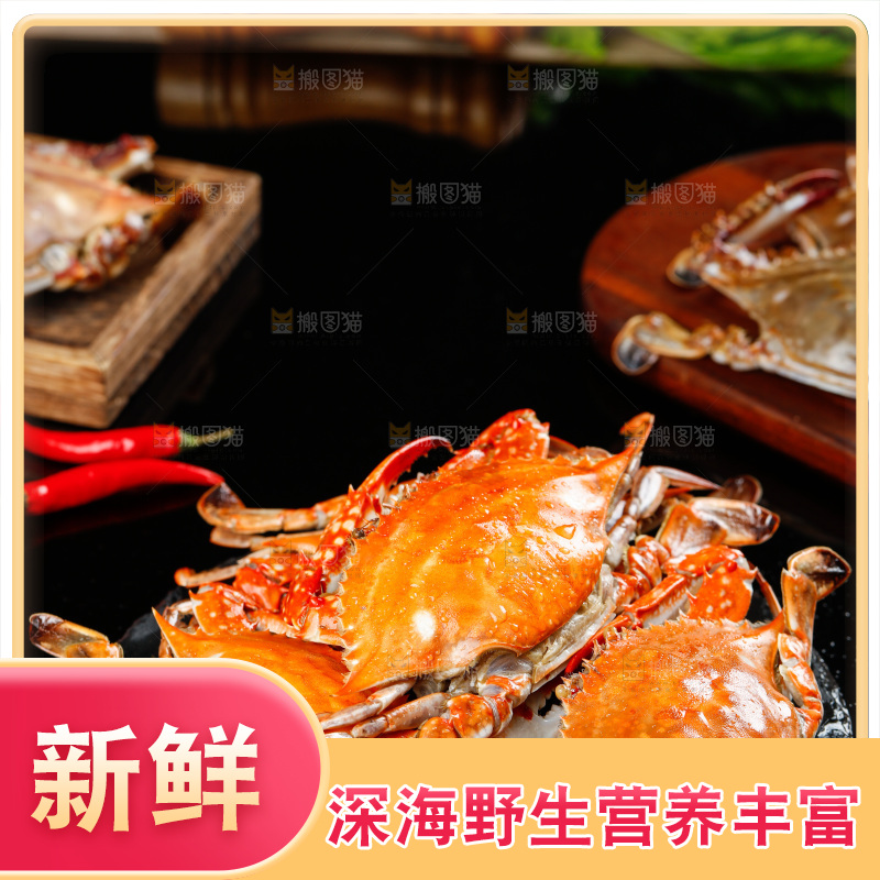 石板上的梭子蟹