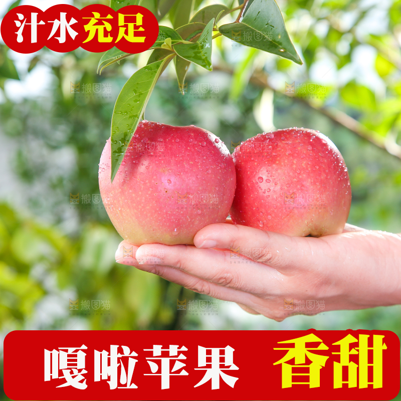 手拿陕西嘎啦苹果