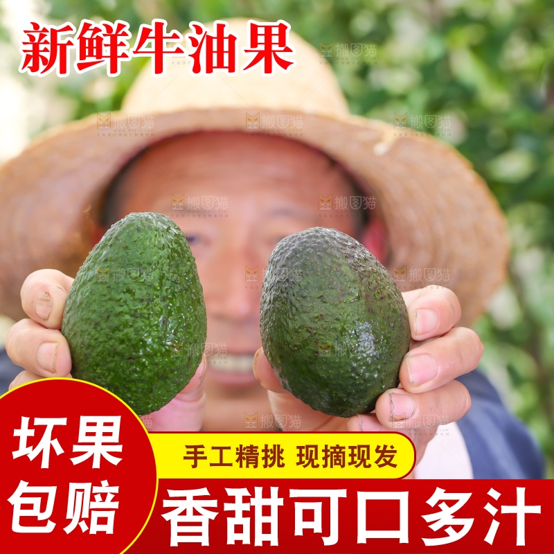 农民手里拿着牛油果