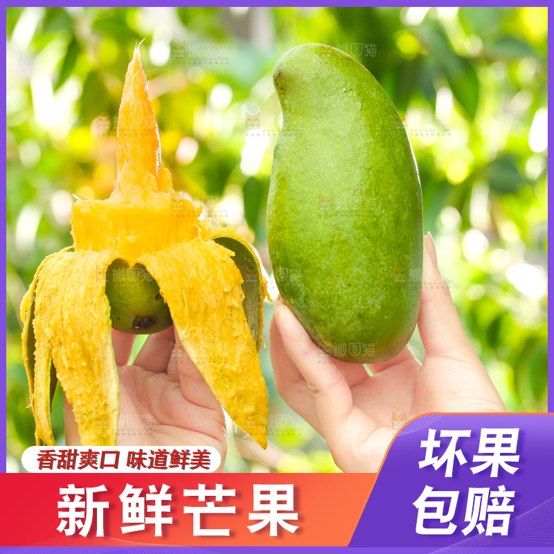 手拿剥皮的桂七芒