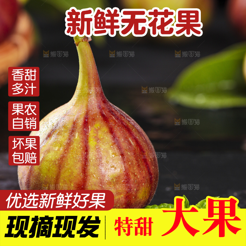 黑底上的紫皮无花果