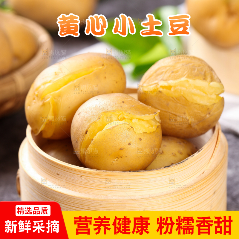 石板上放着一笼蒸熟的黄心小土豆