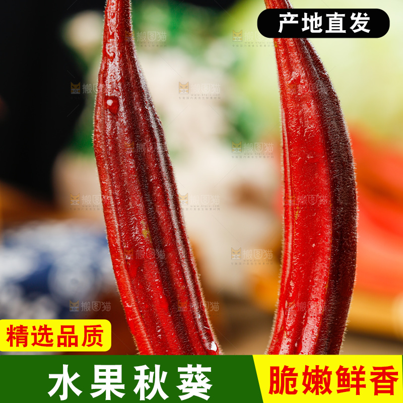 手拿红色秋葵