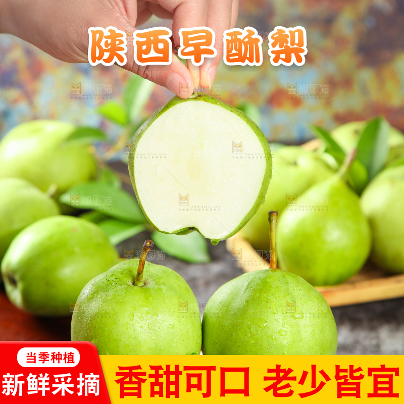 手拿切开的早酥梨