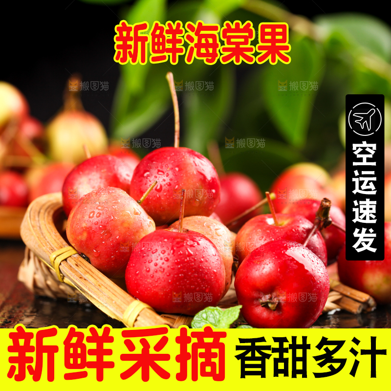 黑底上的海棠果